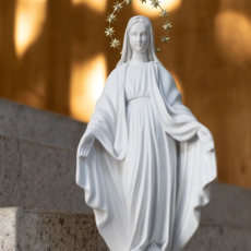 Agnus Dei_Produtos01_400x440px