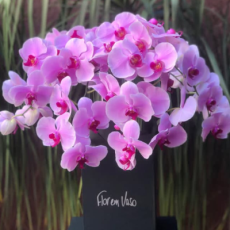 Flor em Vaso_Produtos04_400x440px