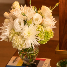 Verbena_Produtos01_400x440px